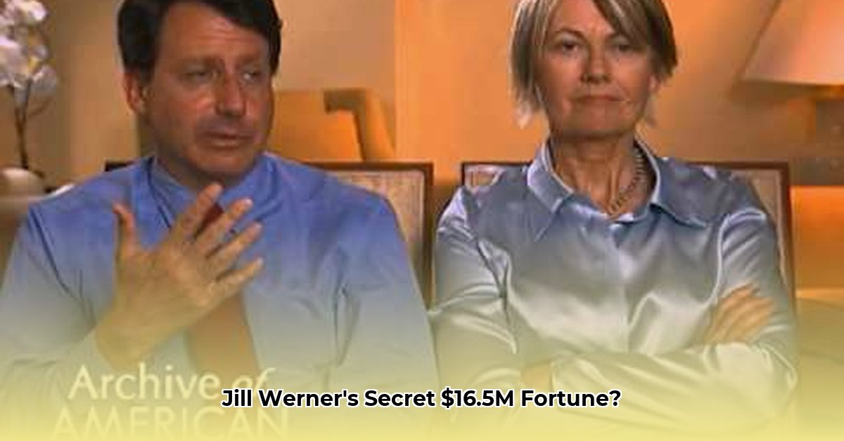 jill-werner-net-worth